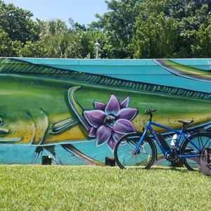 2019 Trek Verve +2 Blue