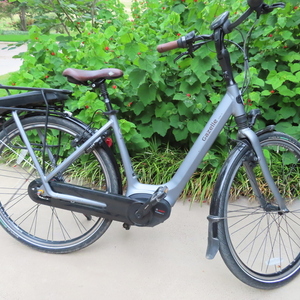 2018 Gazelle Arroyo C8 Silver, gray or bare metal