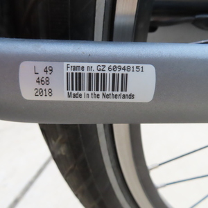 2018 Gazelle Arroyo C8 Silver, gray or bare metal