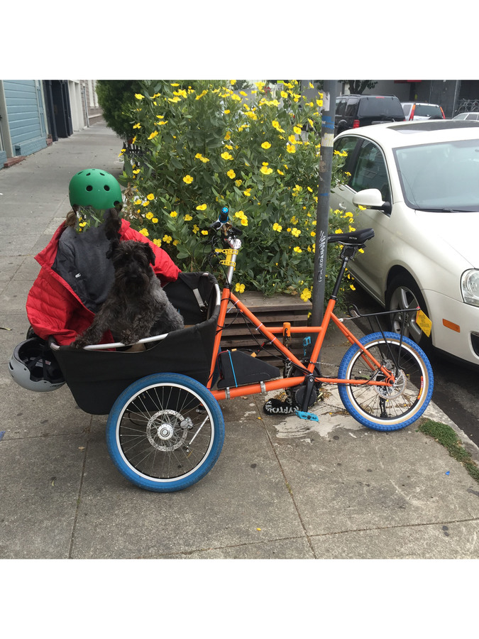 Cargo Tricycle photo