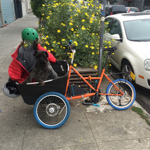 2011 OtherLab cargo tricycle (front storage) Orange