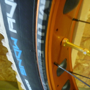 2016 Salsa Mukluk Yellow or Gold