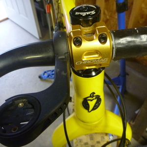 2016 Salsa Mukluk Yellow or Gold