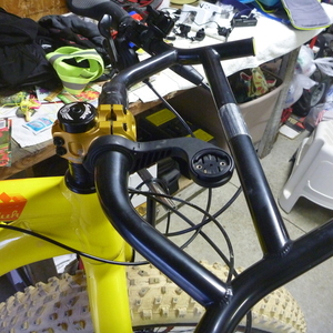 2016 Salsa Mukluk Yellow or Gold