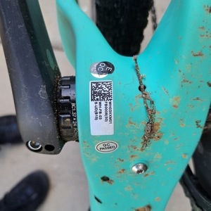 2023 Revel Rover Green