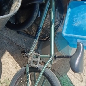 2022 Sunday Scout Green