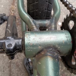 2022 Sunday Scout Green