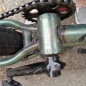 2022 Sunday Scout Green