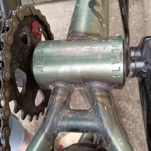 2022 Sunday Scout Green