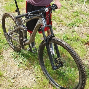 2019 Canyon bicycles Neuron AL 6.0 XL Silver, gray or bare metal and Black