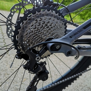 2019 Canyon bicycles Neuron AL 6.0 XL Silver, gray or bare metal and Black