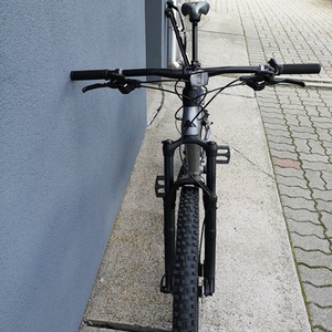 2019 Canyon bicycles Neuron AL 6.0 XL Silver, gray or bare metal and Black