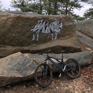 2015 Santa Cruz Blue Blue, Silver, gray or bare metal, and White