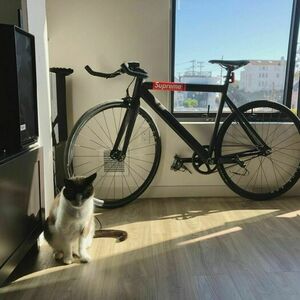 Leader Bikes 721 Black