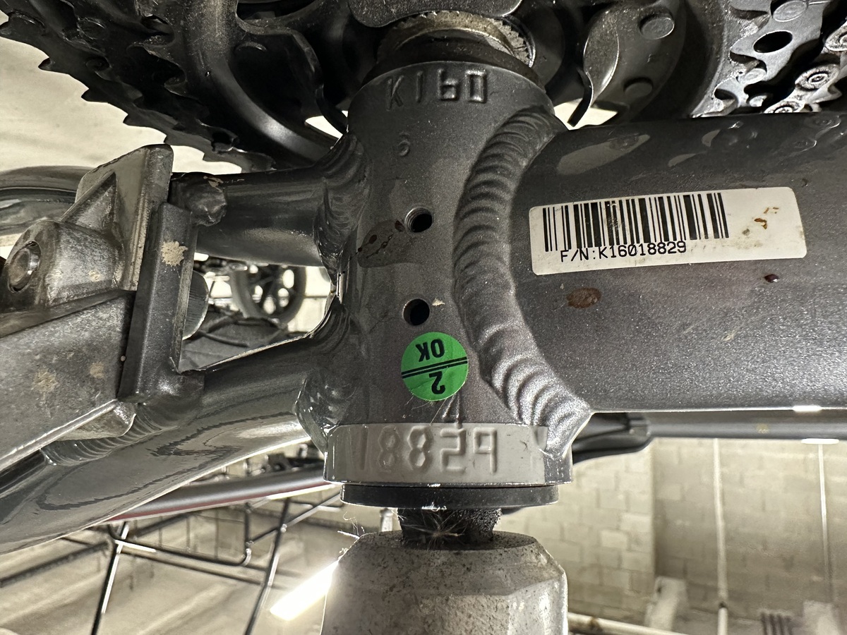 giant cypress dx 2016