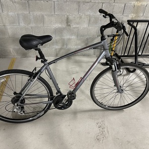 2016 Giant Cypress DX Silver, gray or bare metal and Red