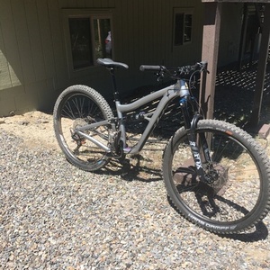 2022 Ibis Ripley AF Silver, gray or bare metal