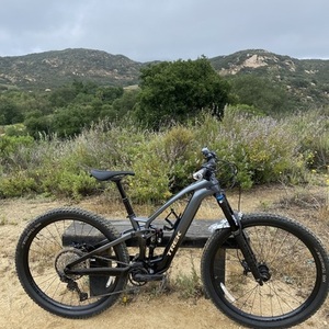 2023 Trek Fuel EXe Silver, gray or bare metal