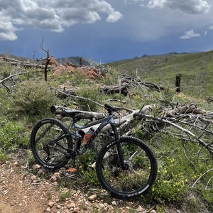 2022 Giant Stance 2 Blue