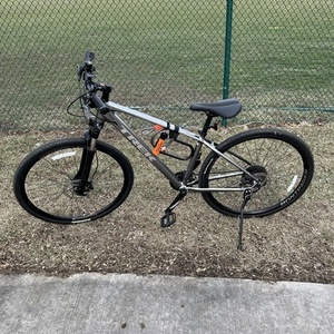 2019 Trek Dual Sport 4 Silver, gray or bare metal