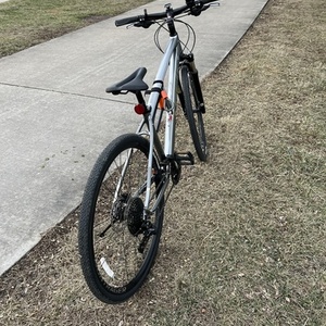 2019 Trek Dual Sport 4 Silver, gray or bare metal