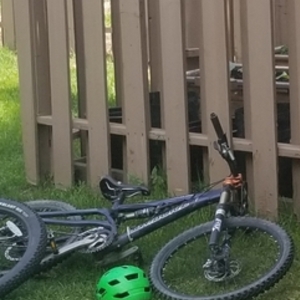 2008 Santa Cruz Juliana Blue