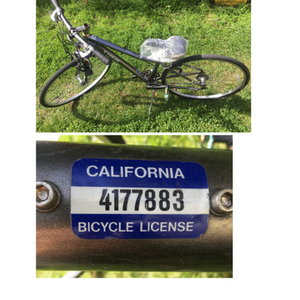 2015 Trek WSD Alpha Gold Aluminum Silver, gray or bare metal