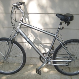 2023 Raleigh Venture 3.0 Silver, gray or bare metal