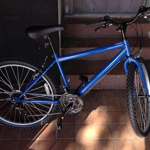 2016 Cycle Force Group MTB Blue