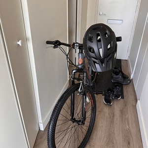 Diamondback Odyssey Silver, gray or bare metal and Orange