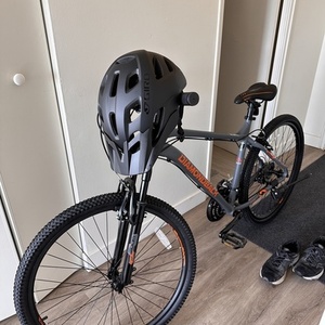 Diamondback Odyssey Silver, gray or bare metal and Orange