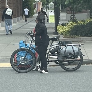 2019 Rad Power Bikes Radwagon 4 Orange