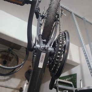 2021 Trek Verve 2 Silver, gray or bare metal