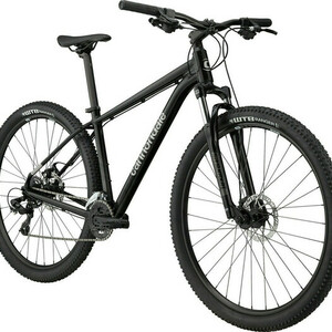 2021 Cannondale Trail 8 Black