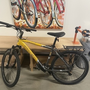 2006 Trek 4300 Yellow or Gold