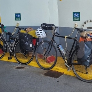 Redline Conquest Silver, gray or bare metal