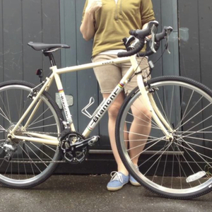 2012 Bianchi Volpe White