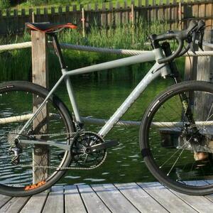 2017 Cannondale Silver, gray or bare metal