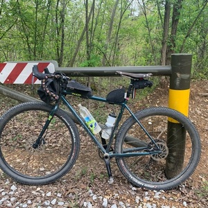 2020 Kona Sutra LTD Green