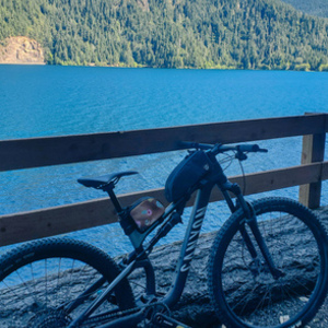 2021 Canyon bicycles Neuron al 7 Black
