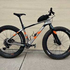 2020 Salsa Beargrease Carbon SX Eagle Silver, gray or bare metal and Orange