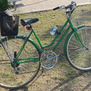 2023 Schwinn Step Thru Green