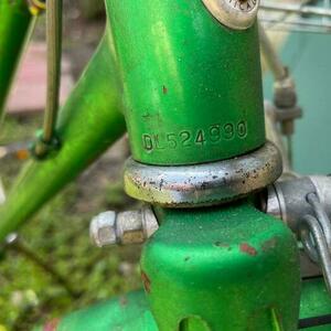 2023 Schwinn Step Thru Green