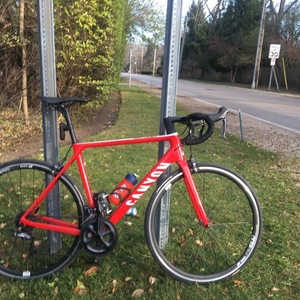 2019 Canyon bicycles Ultimate CF SL 8.0 Red