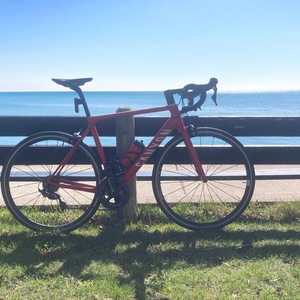 2019 Canyon bicycles Ultimate CF SL 8.0 Red