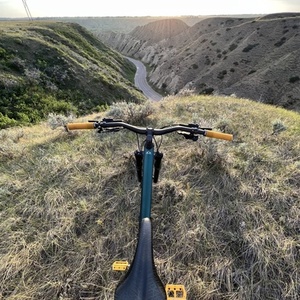 2021 SCOTT Contessa Genius 920 Green