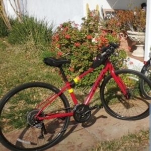 2020 Trek Fx3 Red
