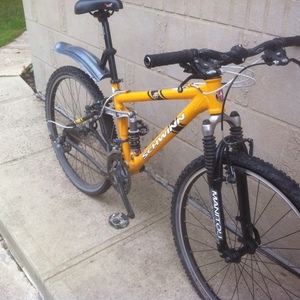 2016 Schwinn Can't Remember Yellow or Gold