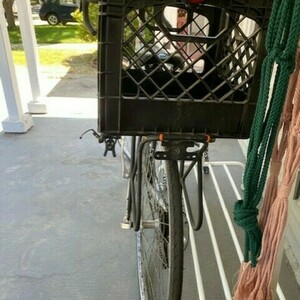 2012 Dawes Cycles Dawes Altair 1 Silver, gray or bare metal