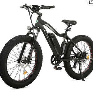 2022 Ecotric Rocket Black